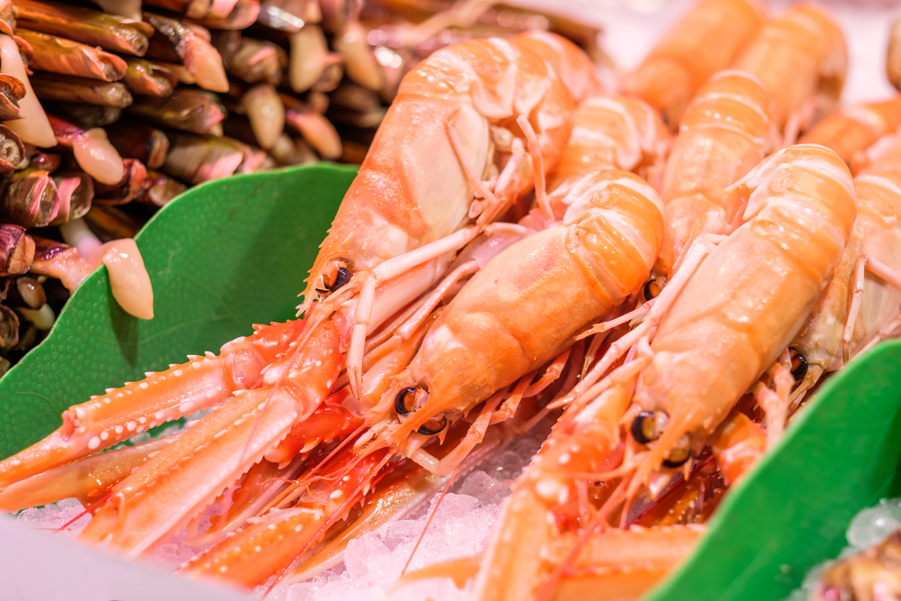 Image of fresh lobster on ice 