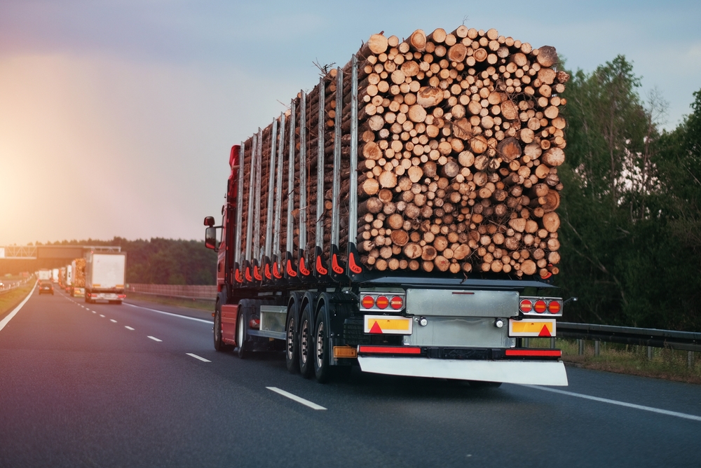 Heavy goods vehicle transporting timber, representing logistics and supply chain operations