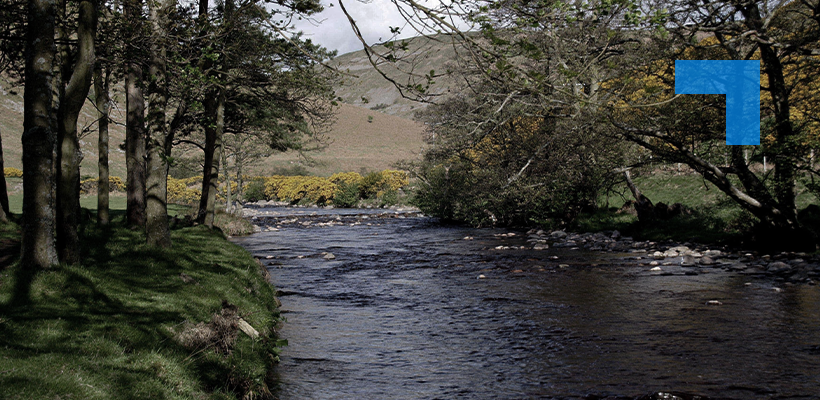A rocky river flows through a green valley landscape, flanked by trees and yellow-flowering gorse shrubs, with rolling hills in the background.